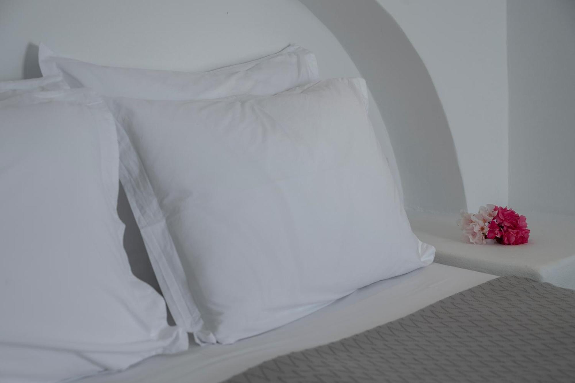 Aegean Dream Apartments Wyspa Wyspa Tinos Zewnętrze zdjęcie