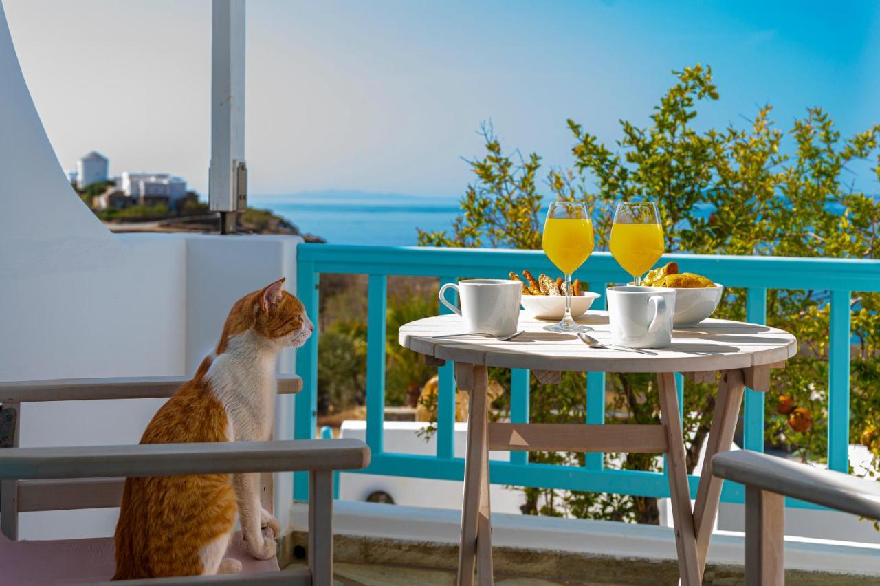 Aegean Dream Apartments Wyspa Wyspa Tinos Zewnętrze zdjęcie
